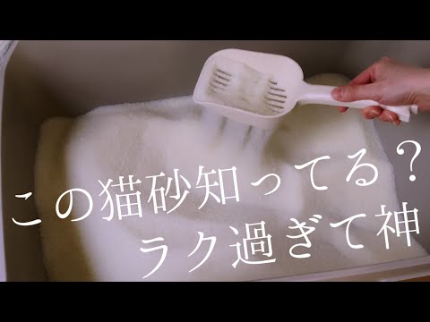 猫砂はどれくらいの頻度で交換する必要がありますか?