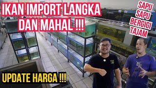 GREBEK HABIS‼️KOLEKSI IKAN PREDATOR LANGKA KETEMU IKAN SAPU SAPU MAHAL BERGIGI TAJAM DAN BERDURI‼️