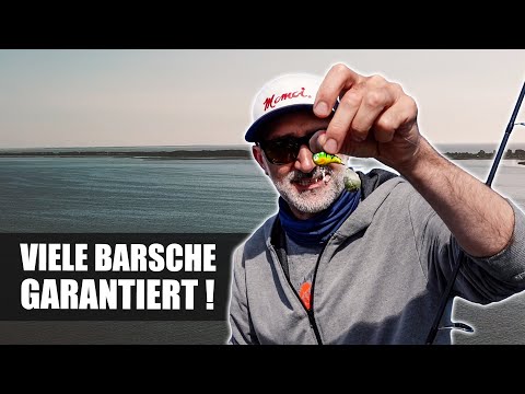 Heavy Metal: Ein Jig-Spinner MUSS IMMER mit