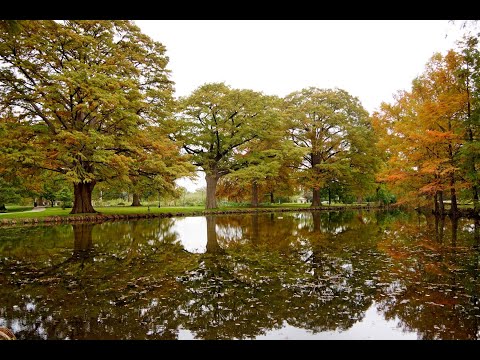 The Grand Orchestra of Paul Mauriat - Il N'y A Pas De Fumée Sans Feu