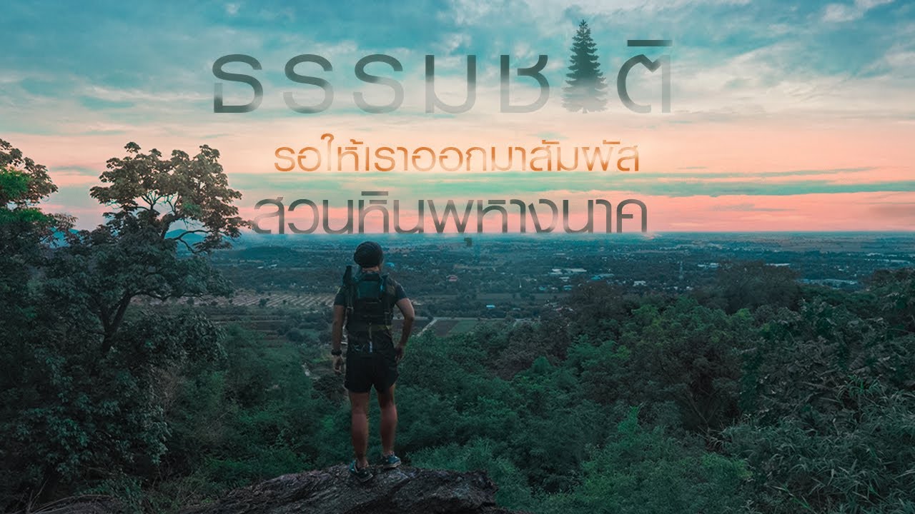 สวนหินธรรมชาติ พุหางนาค