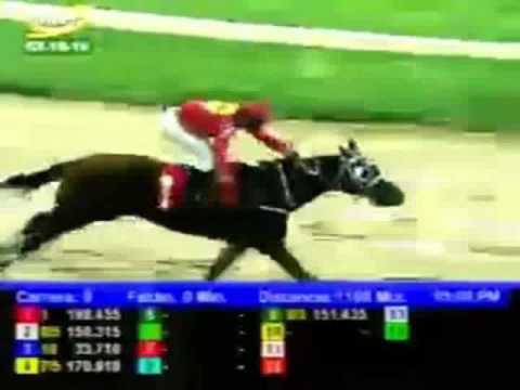 Resumen Viernes, 02 de Octubre de 2015 - Valencia