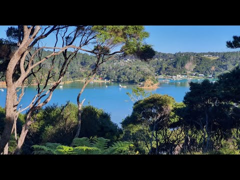 Hideaway Cove, Kawau Island, Auckland, 0房, 0浴, Section