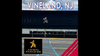 Animal Paradise Gym Vineland NJ Review