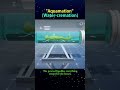 Aquamation or Water cremation #alittleknowledge #shorts