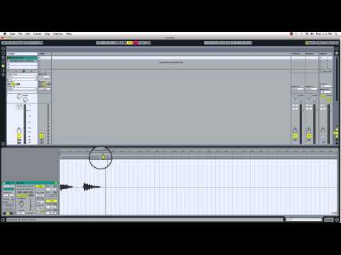 Ableton Live-How to Use Warping as a sound design Tool( Time Stretch)