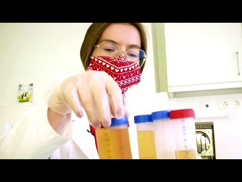匈牙利科學家開發出吃塑膠的細菌 (Hungarian scientists develop plastic eating bacteria)