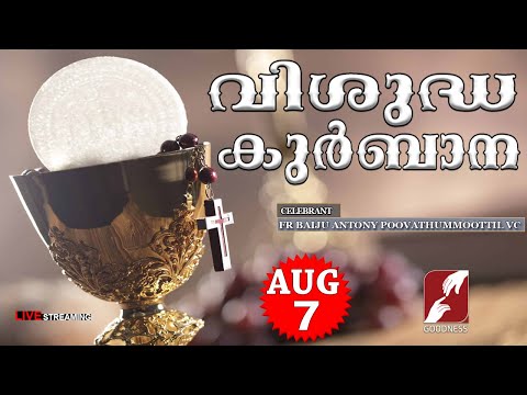 HOLY MASS LIVE @ 6 AM, 7-AUG-2025|REV FR BAIJU ANTONY VC|MALAYALAM QURBANA|TODAY MASS|GOODNESS TV