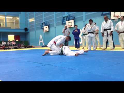 Mark Huizinga - Judo - Newaza turnover