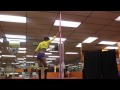 Flex by Rich Homie Quan | Pole Idol Remake x Kei ...