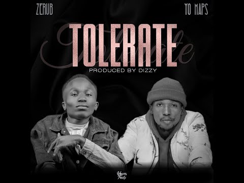Zerub - Tolerate ft. Yo Maps (visualizer)