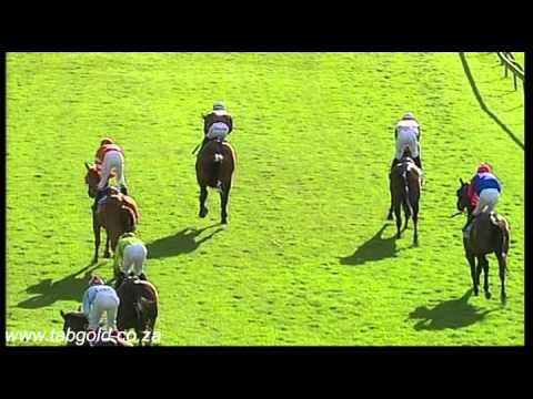 20160207 Scottsville Race 7 won by ALL TOGETHER NOW