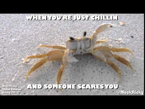 Crab Gets Scared