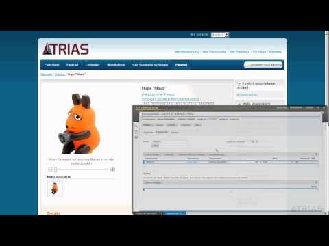 Business ByDesign - TRIAS eCommerce HUB