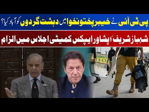 کیا پی ٹی آئی نے عسکریت پسندوں کو خیبر پختونخوا میں آباد ہونے کی اجازت دی؟