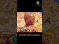 Shorts Amarnath Yatra 2022 Amarnath Yatra Status Amarnath Temple Whatsapp Status