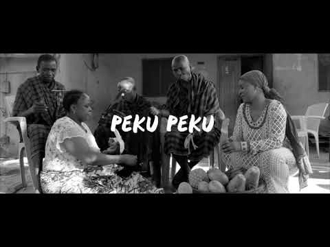 chege feat mrisho mpoto_peku peku official video