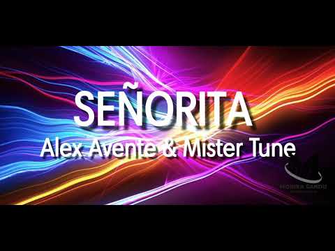My Zumba Choreo / Señorita - Alex Avenue & Mr. Tune feat. Leo Wilber
