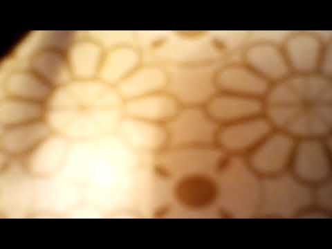 Slusanje glazbe na youtube Marko Skugor slusanje srca mog