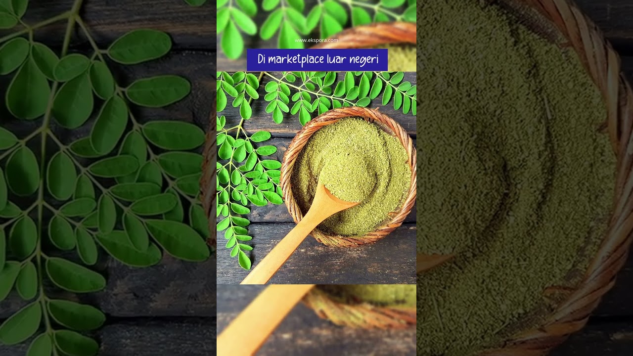 WHERE DOES MORINGA LEAF POWDER GO?