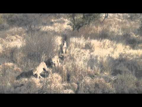 Faszination Afrika (Deutscher Trailer)