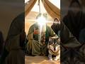 Hazat Imam Hussain Aur Wolf Ka Qissa Hazrat Imam Hussain Facts