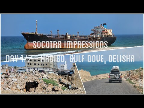 Impressions from Socotra - Day 1 of 7 - Hadibo, Gulf Dove, Delisha Beach / Dunes