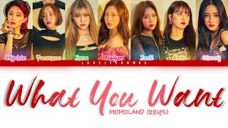 MOMOLAND (모모랜드) – What You Want Lyrics (Color Coded Han/Rom/Eng)