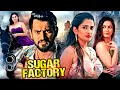 Sugar Factory 2024 New Released Full Hindi Dubbed Romantic Movie Darling Krishna Sonal Monteiro
