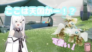 天国なのかな???可愛すぎません？　　　　　　　　　　　　　#sky星を紡ぐ子どもたち