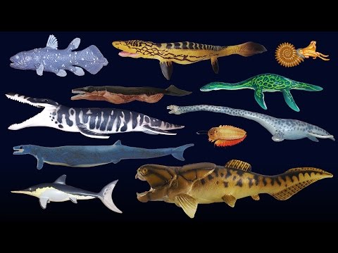 Prehistoric Sea Life - Dunkleosteus - The Kids' Picture Show (Fun & Educational Learning Video)