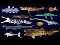 Prehistoric Sea Life Dunkleosteus The Kids Picture Show Fun Educational Learning Video