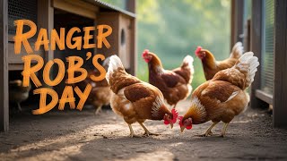 RangerRob's Morning With The Chickens