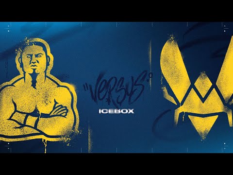 beGenius vs Vitality - Split 2 - Day 10 - Regional League France : Révolution