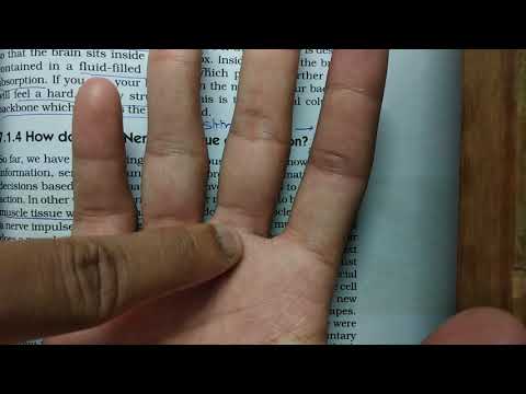 Class 10 Science Chapter 7 how are tissues protected? (7.1part4) how nervous tissue cause action?