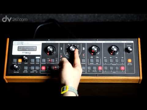 Moog Slim Phatty 2010s - Black image 10