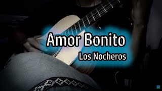 Amor Bonito (Los Nocheros) - LCLM