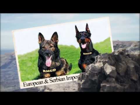 Rocky Mountain Command Dogs, Int'l- RMCDI.com video.