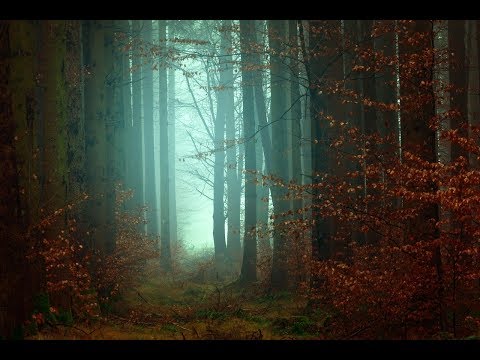 Guided Sleep Meditation (Let Go Of Stress, Anxiety) Sleep Hypnosis Meditation