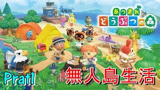 ♯１【集まれどうぶつの森】親子の無人島生活。
