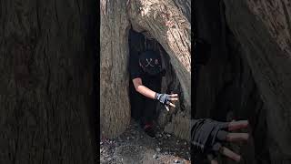 ME comen los DUENDES 😵 #duendes #arbol #magia #funny #shorts #Terror #horror #miedo #comer #yoshi