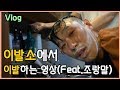 [야생마] 야생마의 그저 머리 벌초할 뿐인 영상 (Feat.조랑말) Vlog 귀여움주의