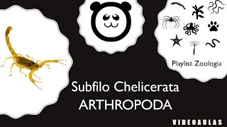 Filo Arthropoda - Subfilo Chelicerata (4/5)