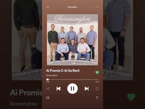 Boanerghes / Ai Promis că ai să revii