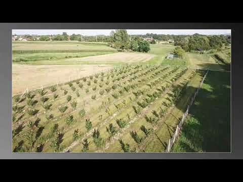 Rogina lješnjaci 2021 - 2 dio