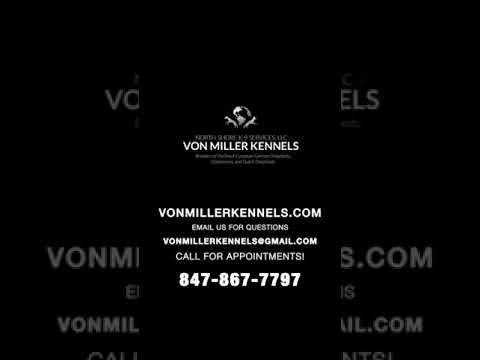VonMiller Kennels video.