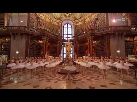 Der größte Schwanensee / Wien Heute vom 18.12.2018 um 19.00 Uhr