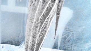 The Year of Living Audaciously Full Moon Lunar Year Daily Art Ritual