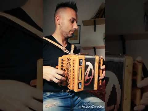 Cumbiacito by De Angelis Organetti Tonalità (Si)