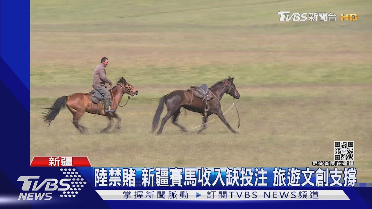 新疆拚「馬背經濟」　盼辦國際賽馬吸金